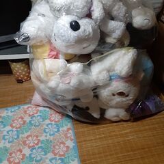 ぬいぐるみ