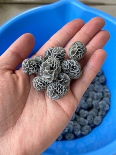 フジノスパイラルVL13  ５L ろ材