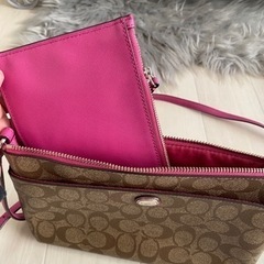 定番coachのショルダーバッグ（ポーチ付）の画像