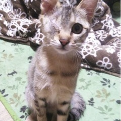 目は失ったけど…