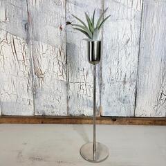 エアー プランツ スタンド　観葉植物の画像