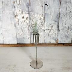 エアー  プランツ スタンド　観葉植物の画像