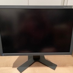 EIZO FlexScan SX2461W
