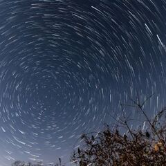 次回１月開催予定：【禁煙】プラネタリウム観賞会