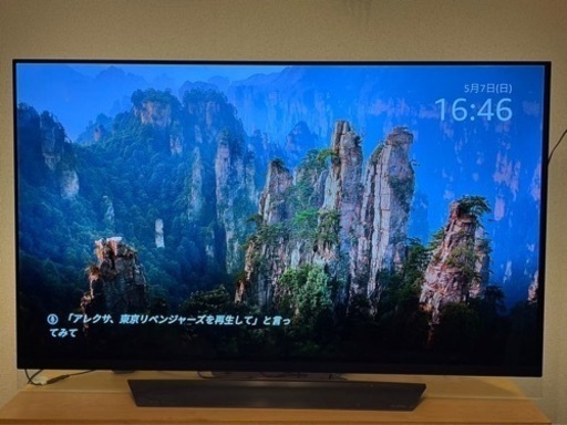テレビ 55インチ LG OLED OLED55E8KNA