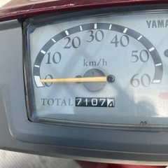 YAMAHAミントの画像