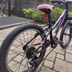 子供用自転車20インチ(女の子用)の画像
