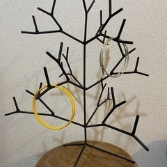 〈取引き決定〉【無料】★5/21(日)〜25(木)の間に引取り限定★アクセサリースタンドの画像