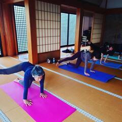 【鴻巣市】寺ヨガの画像