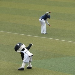 野球観戦好きな方