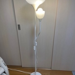 間接照明