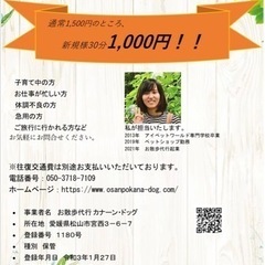 【最安値】わんちゃんのお散歩代行・ペットシッターをしています。
