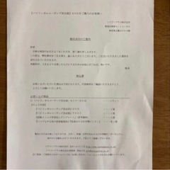 【おまけ付】バイリンガルコーチング英会話　シナジープラス株式会社 バイリンガルコーチング英会話 シナジープラス株式会社
