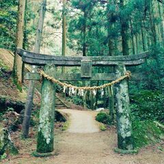 仲間募集🍀神社仏閣巡りが好きな方⛩