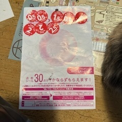 ヤマザキパン（2023）シールあげます