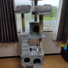 キャットタワーの画像