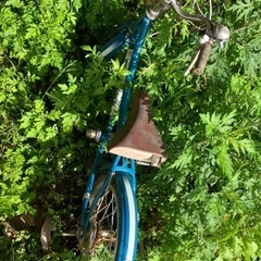 子供自転車（決まりました）