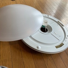 決定しました
