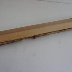 朴（ホオ）62cm　の画像