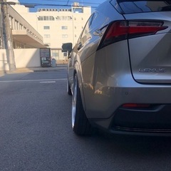 レクサスNX300h バージョンL の画像