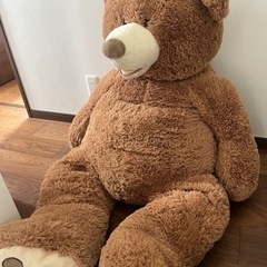 コストコ巨大くまの画像