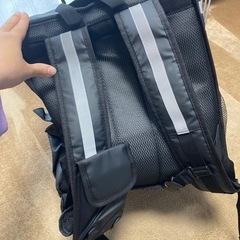 引き取り者決定済みの画像