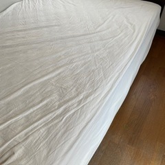 ダブルベッド　予定合わずキャンセルがでました。