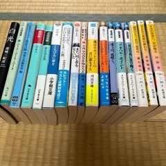 小説　セット売り　美品17冊