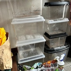 カブトムシ　クワガタ　虫カゴ　飼育セット