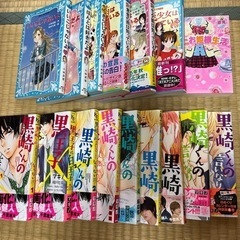 少女漫画26冊＋小説7冊　まとめ売りの画像