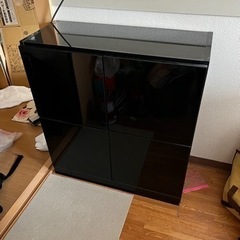黒タンス