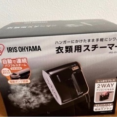 スチームアイロンの画像