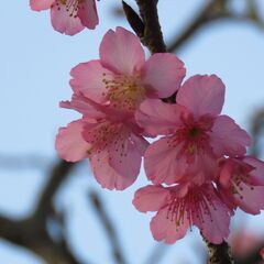 6月１８日午後東中野駅付近にてセミナー『地震・事故・病気など』突...
