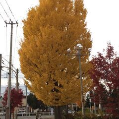 6月１８日午後東中野駅付近にてセミナー『地震・事故・病気など』突然起きることが増えてきたと思いませんか？「まず知ることから始めよう」セミナーの参加お待ちしております。の画像