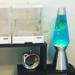 定価41500円 ラバランプ27インチ、5000円の変圧器セットの画像