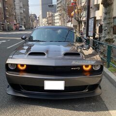 敷かれたレールの上を進み、独立しませんか？の画像