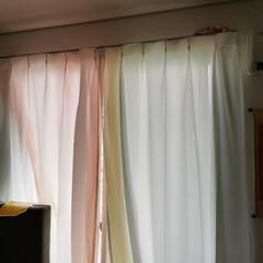無料なカーテンです。