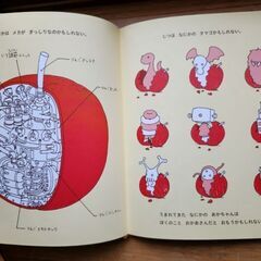 USED りんごかもしれない