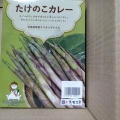 根曲がり竹のカレー・和風汁物セット