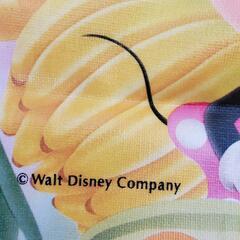 ディズニー横長バッグの画像