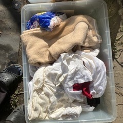 タオルバスタオル、服類無料！の画像