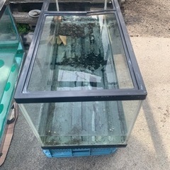 早い者勝ち！ ガラス水槽 1200 450 450