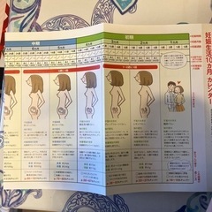 妊娠.出産　最新版の画像