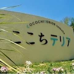 【5/10 & 5/16】🦋 大人気！英語でクラフト: パタパタ動くカラクリちょうちょ🦋の画像