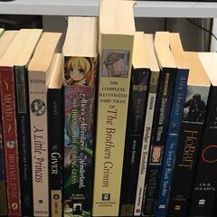 多読洋書児童文学29冊、ロアルド・ダール、HOLES、モモ、ロー...