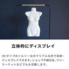 レディース半身トルソーの画像