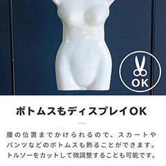 レディース半身トルソーの画像