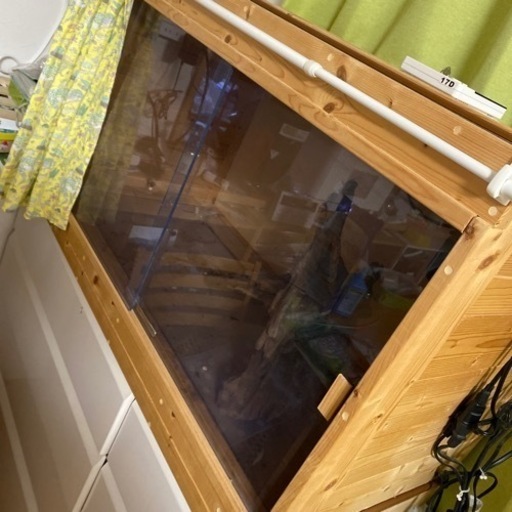 早い者勝ちラスト爬虫類ケージ。カメもいけるかも。あるもの一式。ペット用。写真横になってます