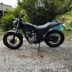 ホンダFTR223 MC34の画像