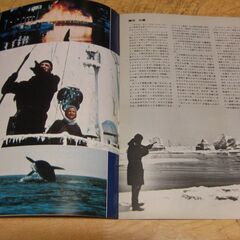 3252【映画パンフレット】オルカの画像